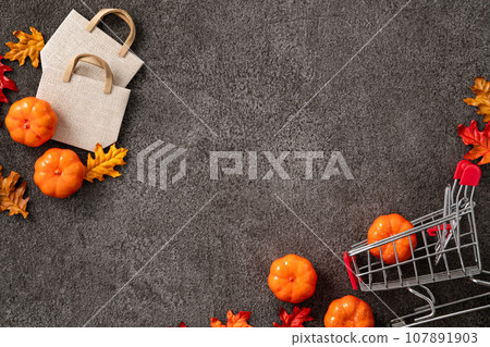 autumn shopping cart sale background Autumn shopping ショッピング autumn shopping cart sale background Autumn shopping ショッピング 107891903