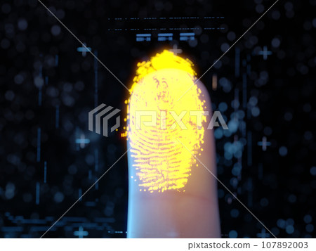 Fingerprint authentication 107892003