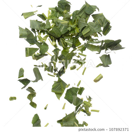 Kale fly fall mid air, green fresh vegetable chinese kale cut chop slice. Organic fresh vegetable with eaten leaf of chinese kale, heap close up texture. White background isolated freeze motion Kale fly fall mid air, green fresh vegetable chinese kale cut chop slice. Organic fresh vegetable with eaten leaf of chinese kale, heap close up texture. White background isolated freeze motion 107892371