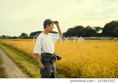 rice farmer man 107892507