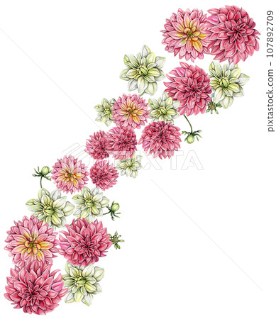 Watercolor dahlia flowers composition. Hand drawn illustration of a blooming flower garden. Design for baby shower party, birthday, cake, holiday celebration design, posters,greetings card,invitation. Watercolor dahlia flowers composition. Hand drawn illustration of a blooming flower garden. Design for baby shower party, birthday, cake, holiday celebration design, posters,greetings card,invitation. 107892709