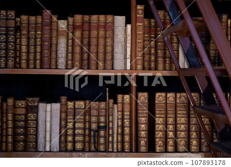Vienna, Austria, October 2023 107893178
