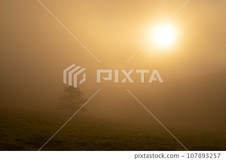 Fog morning Fog morning 107893257