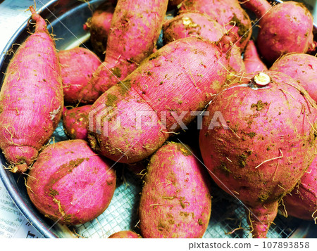 Freshly caught sweet potatoes 107893858