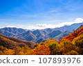 Mountains colored with autumn leaves and clear blue skies 107893976
