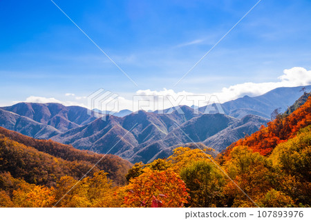 Mountains colored with autumn leaves and clear blue skies Mountains colored with autumn leaves and clear blue skies 107893976