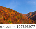 Mountains colored with autumn leaves and clear blue skies 107893977