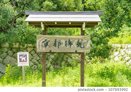 京都御苑 107893992