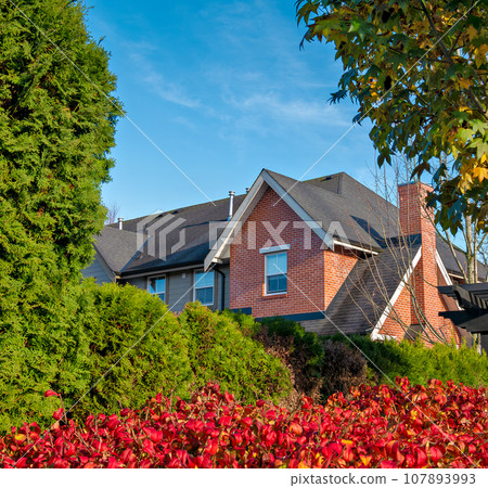 Top of brick residential house with green leaves around 107893993