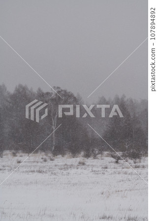 Winter's Odashirogahara Winter's Odashirogahara 107894892