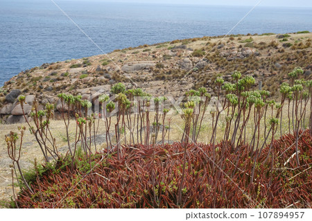 coastline and rocks, Kangaroo Island, South Australia coastline and rocks, Kangaroo Island, South Australia 107894957