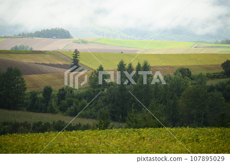 The view from “Shinei no Oka Observation Park” in Biei, Hokkaido 107895029