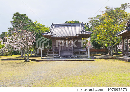 Ko Shrine worship hall and cherry blossoms in Tenchiyama Park, Buzen City, Fukuoka Prefecture Ko Shrine worship hall and cherry blossoms in Tenchiyama Park, Buzen City, Fukuoka Prefecture 107895273