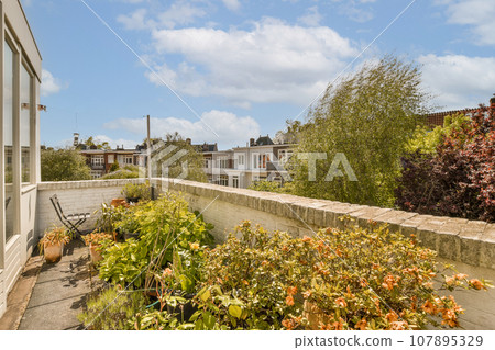 an outside area with flowers and plants in the fore - windowed part of a house on a sunny day an outside area with flowers and plants in the fore - windowed part of a house on a sunny day 107895329
