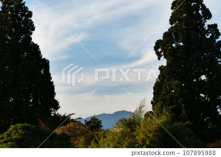 Looking at Mt. Iwate through the big trees on a calm autumn day when the clouds in the sky are forming a circle 107895988