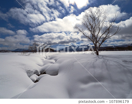 Frozen Lake Hibara in Fukushima Prefecture. A vast white snow field, a single tree, and the snow-capped Mt. Bandai in the distance look impressive and beautiful against the blue sky. Frozen Lake Hibara in Fukushima Prefecture. A vast white snow field, a single tree, and the snow-capped Mt. Bandai in the distance look impressive and beautiful against the blue sky. 107896179