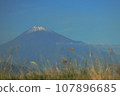 Mt. Fuji in autumn covered with pampas grass and snow 107896685