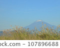 Mt. Fuji and silver grass on a clear autumn day 107896688