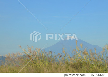 Mt. Fuji and silver grass on a clear autumn day 107896688