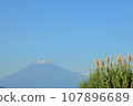 Pampas grass that shines against Mt. Fuji and the blue sky 107896689