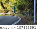 Curving road and fallen leaves on the roadside 107896691