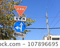 Autumn cherry blossom leaves and signs 107896695