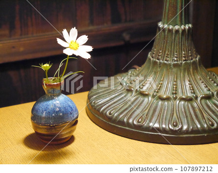 Cosmos in a vase Cosmos in a vase 107897212