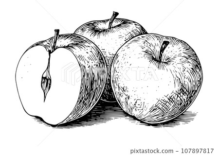 Apple fruit hand drawn ink sketch. Engraved style vector illustration. 107897817