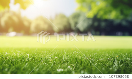 Green lawn with copyspace and flare. Generative AI 107898068