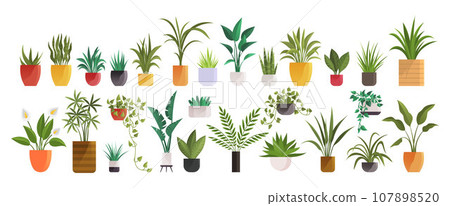 Flower pot. Vector illustration. The bloomy meadows are sight to behold during spring season Horticultural practices focus on art and science plant cultivation Herbal teas are made from blend aromatic 107898520