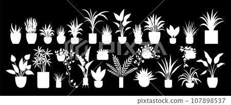 Flower pot. Vector illustration. The vegetative growth plant indicates its health and vitality The flowery scent blooms fills air with fragrance The flowered wallpaper brings sense charm to room 107898537