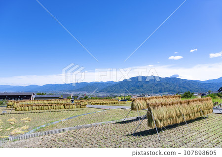 山梨縣南駒郡富士川町的鄉村景觀 107898605