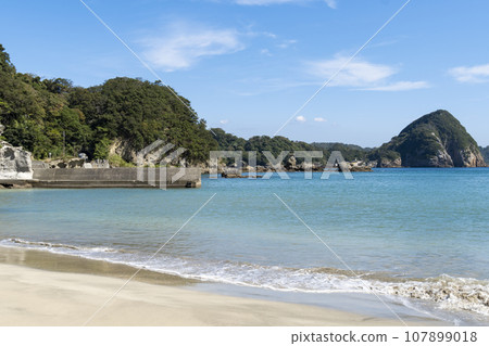 伊豆鍋濱海灘 107899018