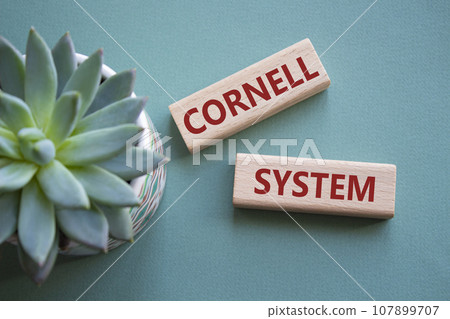 Cornell system symbol. Concept word Cornell system on wooden blocks. Beautiful grey green background with succulent plant. Business and Cornell system concept. Copy space Cornell system symbol. Concept word Cornell system on wooden blocks. Beautiful grey green background with succulent plant. Business and Cornell system concept. Copy space 107899707
