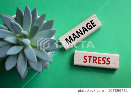 Manage stress symbol. Concept word Manage stress on wooden blocks. Beautiful green background with succulent plant. Business and Manage stress concept. Copy space Manage stress symbol. Concept word Manage stress on wooden blocks. Beautiful green background with succulent plant. Business and Manage stress concept. Copy space 107899781