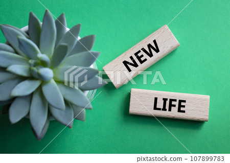 New life symbol. Wooden blocks with words New life. Beautiful green background with succulent plant. Business and New life concept. Copy space. New life symbol. Wooden blocks with words New life. Beautiful green background with succulent plant. Business and New life concept. Copy space. 107899783
