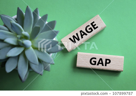 Well done symbol. Wooden blocks with words Well done. Beautiful green background with succulent plant. Business and Well done concept. Copy space. 107899787