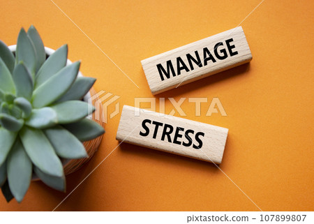 Manage stress symbol. Concept word Manage stress on wooden blocks. Beautiful orange background with succulent plant. Business and Manage stress concept. Copy space Manage stress symbol. Concept word Manage stress on wooden blocks. Beautiful orange background with succulent plant. Business and Manage stress concept. Copy space 107899807
