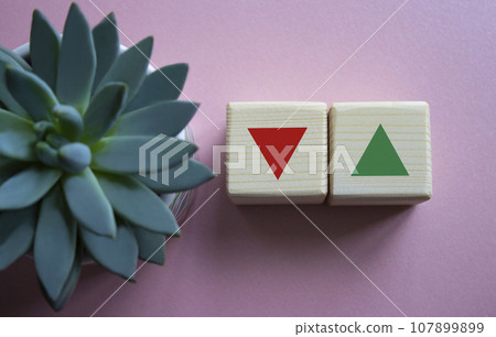 Interest rate symbol. Two wooden cubes with arrow going down and arrow going up. Beautiful pink background with succulent plant. Business concept. Copy space. 107899899