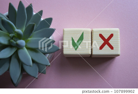 Yes vs No symbol. Yes vs no on wooden cubes with succulent plant. Beautiful pink background. Business concept. Copy space. 107899902