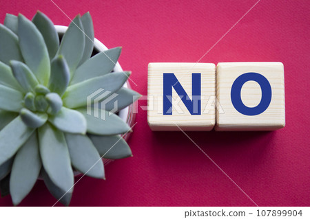 No symbol. Concept words No on wooden blocks. Beautiful red background with succulent plant. Business and No concept. Copy space. 107899904