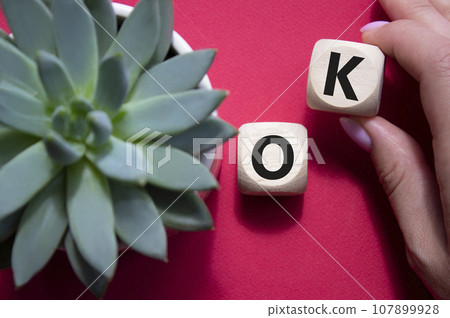 Ok symbol. Concept word Ok on wooden cubes. Businessman hand. Beautiful red background with succulent plant. Business and Ok concept. Copy space. Ok symbol. Concept word Ok on wooden cubes. Businessman hand. Beautiful red background with succulent plant. Business and Ok concept. Copy space. 107899928