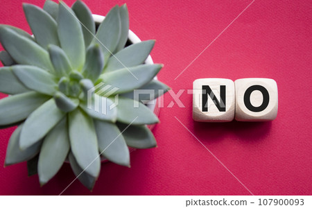 No symbol. Concept words No on wooden blocks. Beautiful red background with succulent plant. Business and No concept. Copy space. 107900093