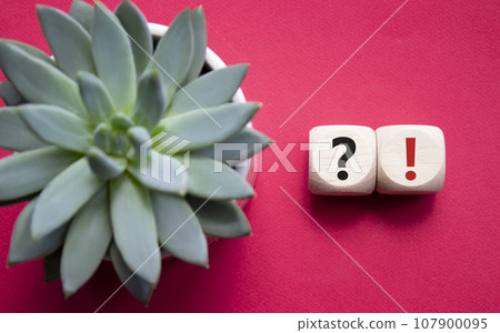 Question mark and exclamation mark symbol. Question mark and exclamation mark on wooden cubes. Beautiful red background with succulent plant. Business concept. Copy space. 107900095