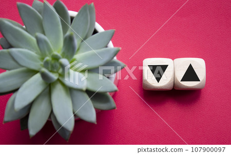 Interest rate symbol. Two wooden cubes with arrow going down and arrow going up. Beautiful red background with succulent plant. Business concept. Copy space. Interest rate symbol. Two wooden cubes with arrow going down and arrow going up. Beautiful red background with succulent plant. Business concept. Copy space. 107900097