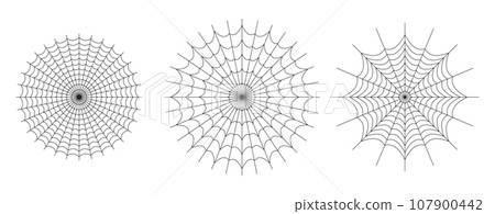 Symmetrical spider web icon. Geometric halloween badge. Minimal spooky sticker. Symmetrical spider web icon. Geometric halloween badge. Minimal spooky sticker. 107900442