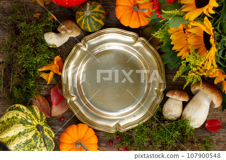 Fall frame with mushrooms 107900548
