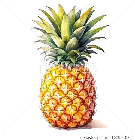watercolor pineapple isolated 107901073