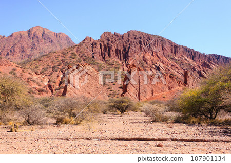 Bolivian canyon near Tupiza,Bolivia 107901134