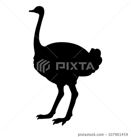 Simple and cute ostrich silhouette Simple and cute ostrich silhouette 107901459